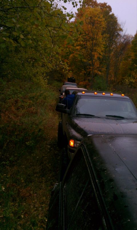 1979 Ford Bronco - Multiple trucks drive down a wooded dirt road during the fall season.
