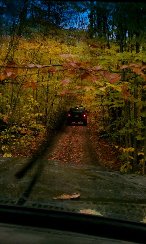 1979 Ford Bronco - A vehicle travels down a wooded path during the fall season, with trees displaying colorful autumn leaves.