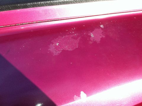 1992 Ford F-150 - Rear fender starting to peel. It is the newest paint on the truck too...