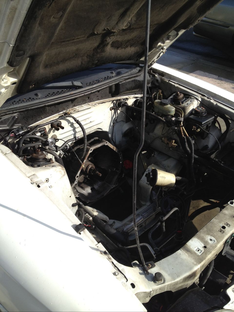 Empty engine bay of white Mustang with engine removed, transmission bellhousing and wiring exposed
