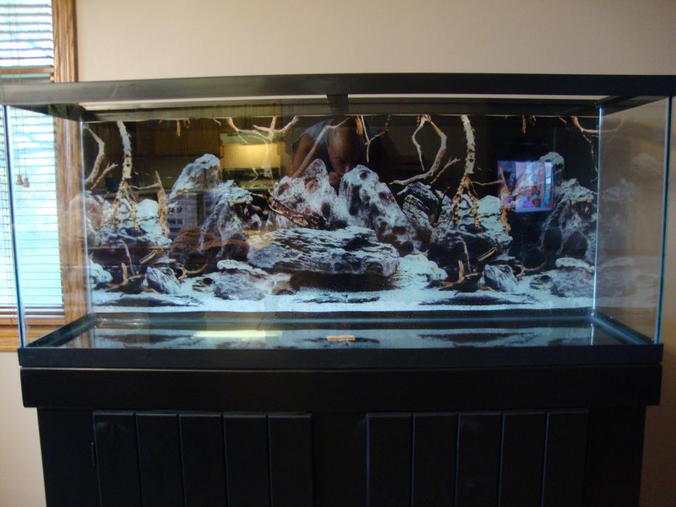 Aquarium with rocks and driftwood