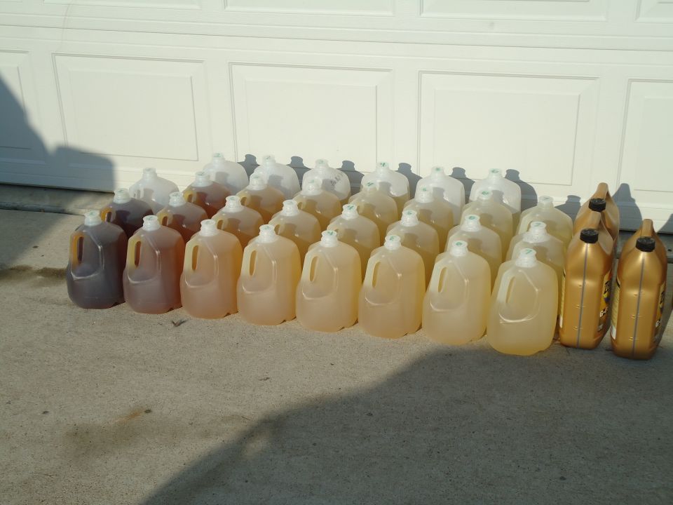 Rows of gallon jugs of used oil graded by color with two gold quart oil bottles on a driveway