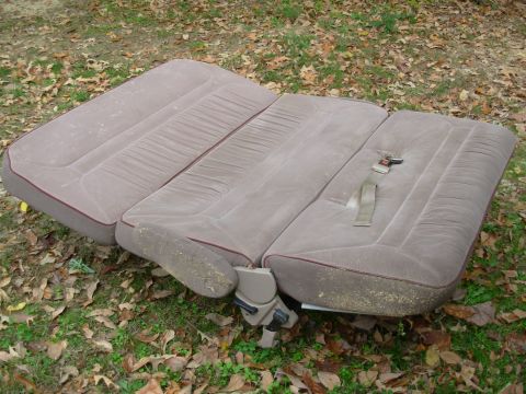 1983 Ford Bronco photo
