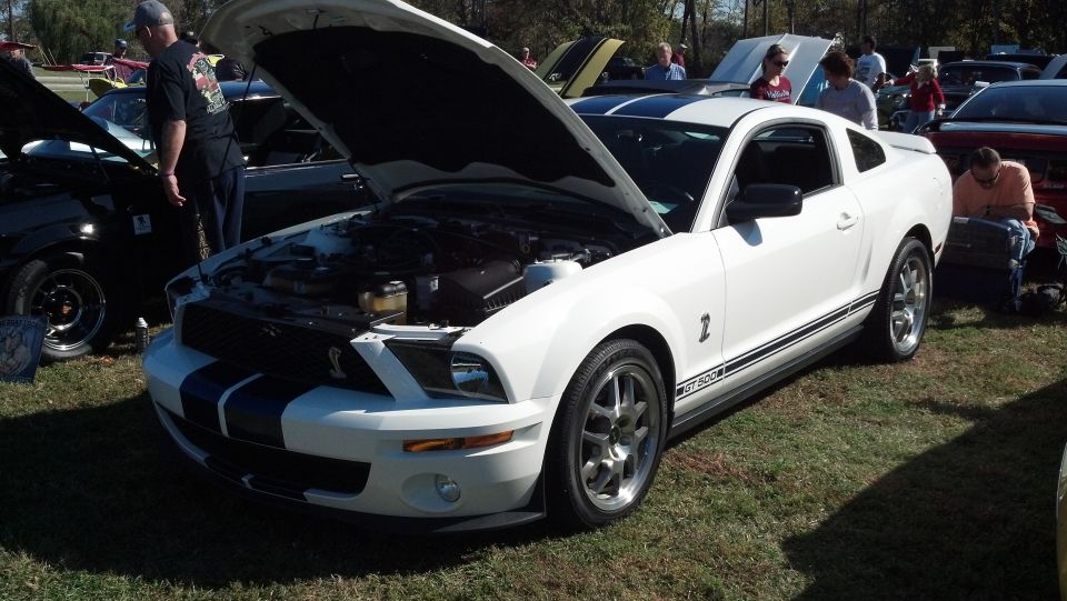 White 2007 Ford Mustang GT500 with black racing stripes, hood open, parked on grass