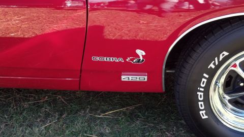 2007 Ford Mustang - Close-up of a red car's side panel, showing a 'Cobra' emblem and a '429' badge.