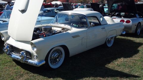 2007 Ford Mustang - A classic white 1955 Ford Thunderbird is displayed with its hood open, alongside other vehicles at an outdoor event.
