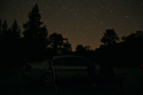 2003 Ford Taurus - A car is parked outdoors at night, with a clear view of the starry sky above the trees.