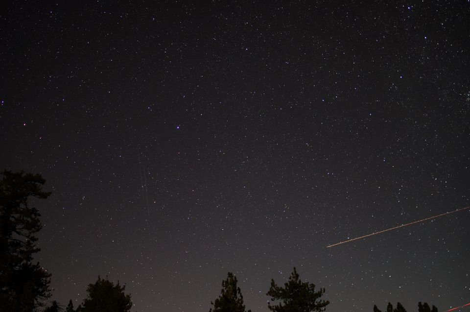 Starry night sky over trees with a faint airplane contrail