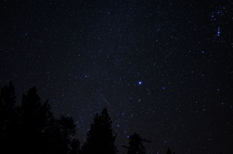 2003 Ford Taurus - Photograph of a starry night sky over a forest, with visible constellations and a few shooting stars.
