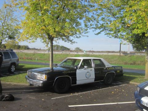 1991 Ford LTD Crown Victoria - A black and white 1991 Ford Crown Victoria police car, marked "Canine Patrol", is parked next to a tree.