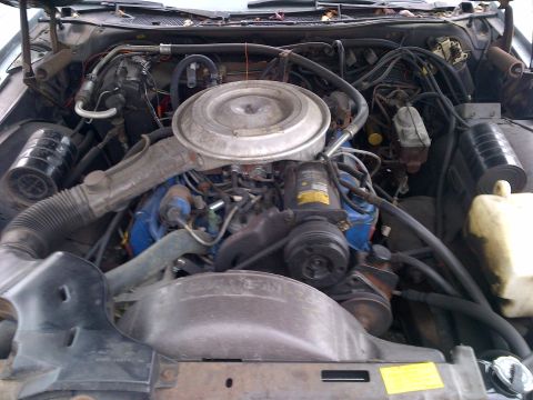 2001 Ford Crown Victoria - The engine bay of a vehicle, showing the V8 engine, air cleaner, and various hoses and components.