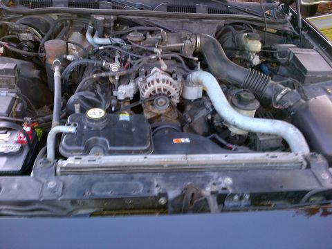 2001 Ford Crown Victoria - Engine bay of a 2001 Ford Crown Victoria, showing the V8 engine and associated components.