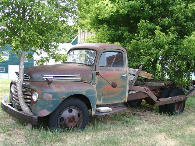 1948 Ford F5 flatbed truck with tree growing through bumper