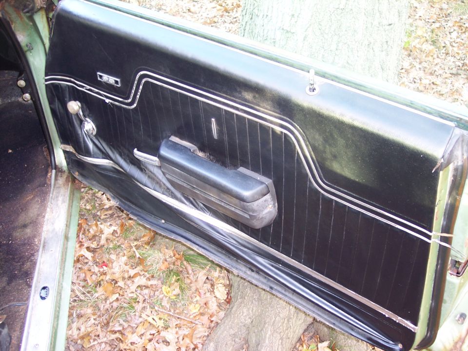 Interior door panel with black vinyl and chrome trim, showing armrest and window crank