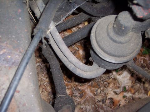1970 Chevrolet Chevelle - Engine bay details showing wiring and a fuel filter, with leaves on the ground.