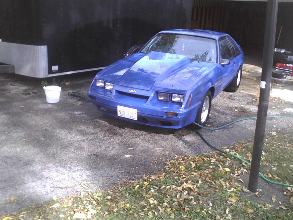 Blue Ford Mustang with a large hood scoop parked next to a black trailer. License plate reads N3B 8211