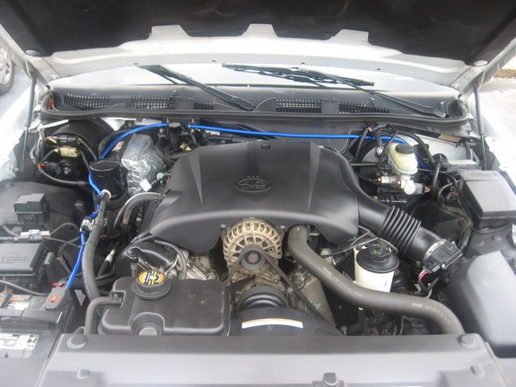 1998 Ford Crown Victoria engine bay with black engine cover and blue hoses