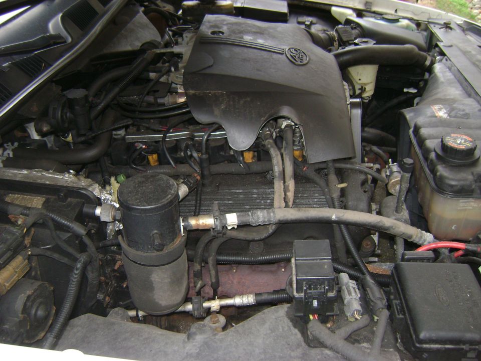 Engine bay with visible hoses and electrical components