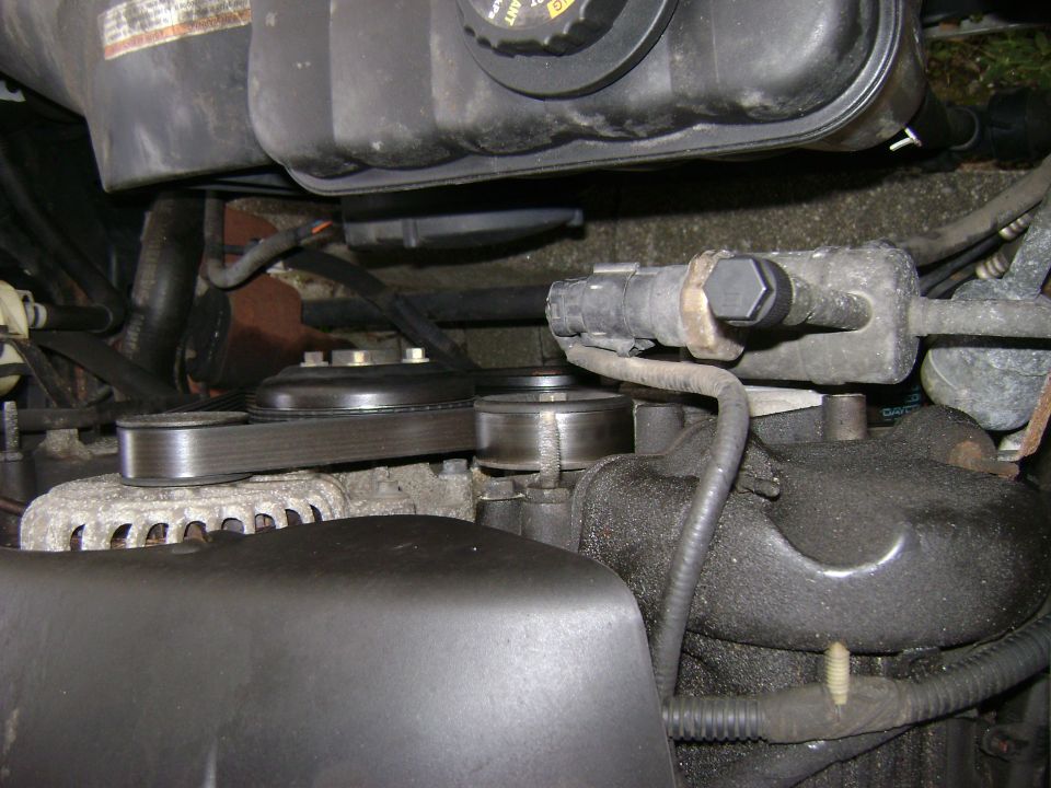 Serpentine belt and alternator in engine bay