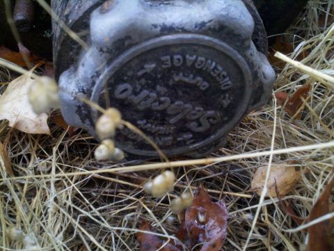 1978 Ford Bronco - A close-up view of a Selectro auto disengage part, partially obscured by grass and fallen leaves.