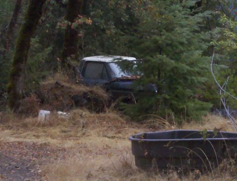 1978 Ford Bronco - A 1978 Ford Bronco sits abandoned and overgrown with vegetation, its white roof barely visible through the dense foliage.
