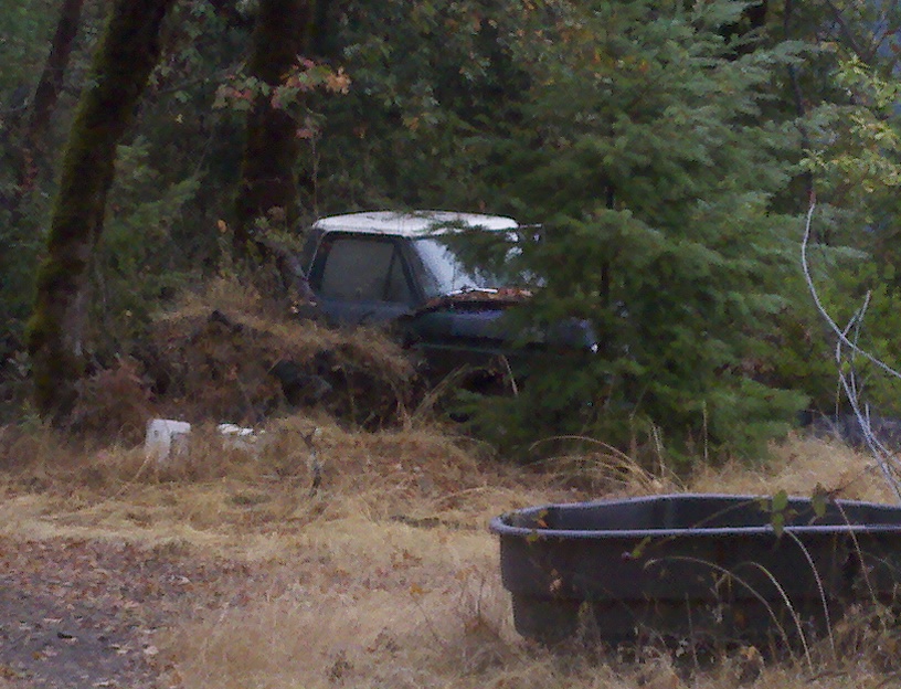 1978 Ford Bronco, dark SUV with white roof, partially obscured by trees and brush