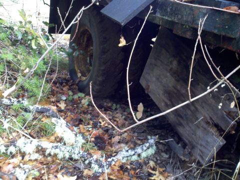 1978 Ford Bronco - A close-up view of a tire and wooden planks amidst foliage, with a watermark at the bottom right.