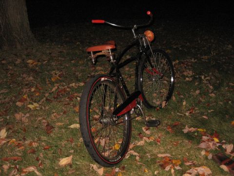 1994 Ford Bronco - A cruiser bicycle with red accents sits on a grassy area covered in autumn leaves.