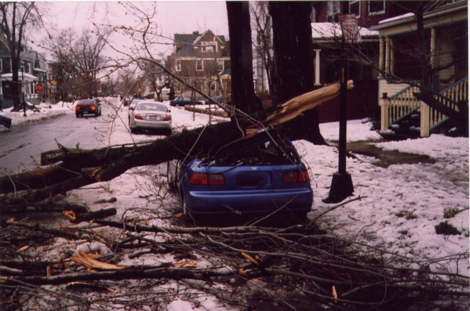 Blue Honda hatchback crushed by fallen tree branch on snowy residential street