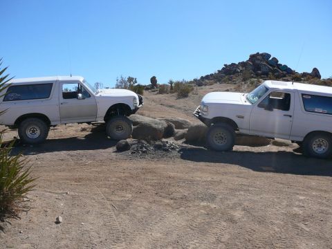 1988 Ford Bronco - Two white Ford Broncos are shown off-roading on a sunny day with rocky hills in the background.
