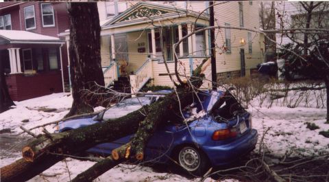 1986 Ford Taurus - A blue coupe is heavily damaged after a tree fell on it during a snowstorm.