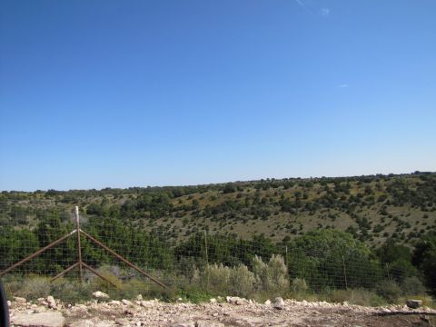 1995 Ford Bronco - A wide view of a rural landscape with a fence line and scattered vegetation under a bright blue sky.