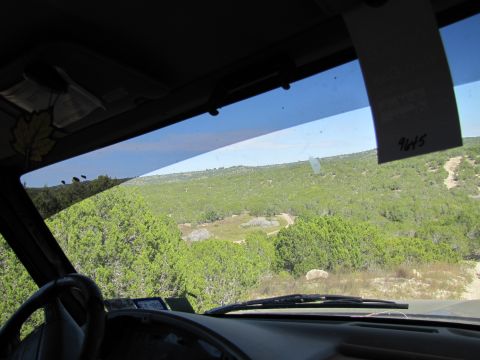 1995 Ford Bronco - View from inside a vehicle looking out at a scenic, hilly terrain with scattered trees.