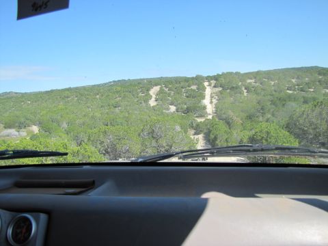 1995 Ford Bronco - View from inside a vehicle as it navigates a dirt road through a scenic, tree-covered terrain.