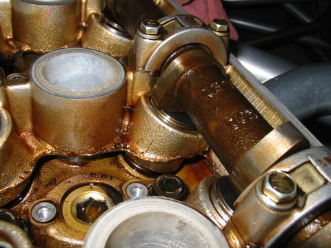 1993 Ford Taurus - This image shows the internal components of an engine's valve train, covered in oil.