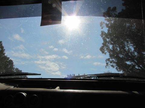 1995 Ford Bronco - Interior view from a vehicle's dashboard looking out through the windshield on a sunny day.
