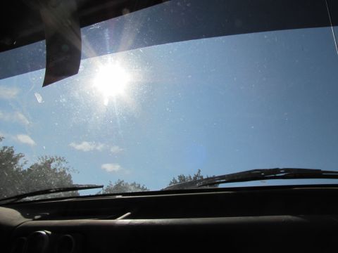 1995 Ford Bronco - Looking out through the dusty windshield on a sunny day, with trees and clouds visible in the distance.