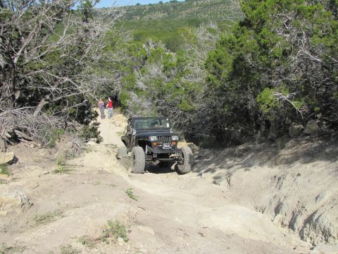 1995 Ford Bronco - A black Jeep Wrangler navigates a challenging dirt path surrounded by dry brush and trees.