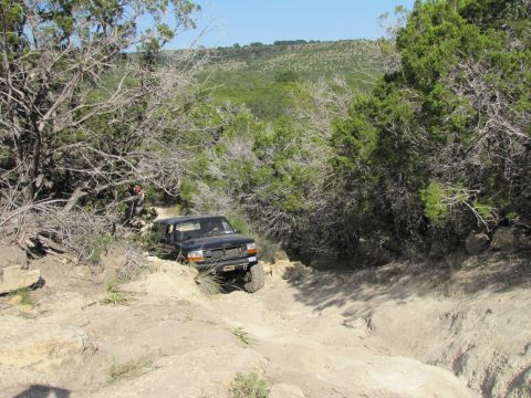 1995 Ford Bronco - A black 1995 Ford Bronco tackles a challenging off-road path surrounded by dense vegetation.