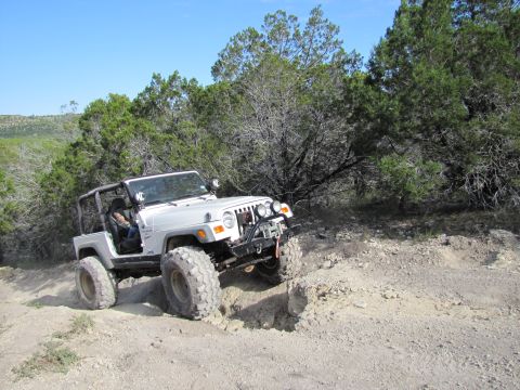 1995 Ford Bronco - White Jeep Wrangler TJ off-roading on a dirt trail with trees and blue sky.