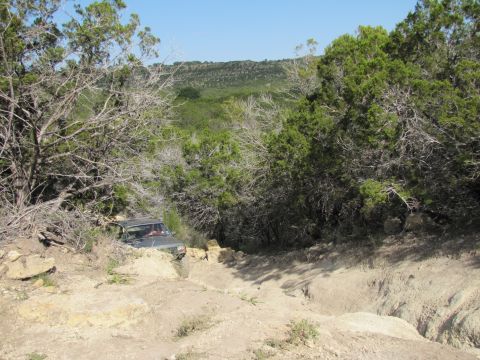 1995 Ford Bronco - A dark SUV navigates a challenging off-road path through dense vegetation and rocky terrain.