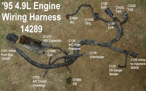 1983 Ford Bronco - '95 4.9L Engine Harness See also: [url=https://www.fordparts.com/FileUploads/CMSFiles/18376%20Pigtail%20Book%202016.pdf]MotorCraft 2016 Wir…