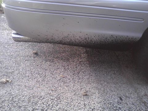 2003 Ford Crown Victoria - Mud splatters are visible on the lower rear bumper and exhaust pipe of a silver vehicle.