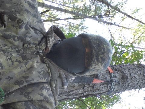 1986 Ford Bronco - A person in camouflage gear is positioned in a tree, obscured by foliage and a black face mask.