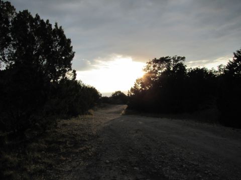 1995 Ford Bronco - A dirt road winds through trees as the sun sets, casting long shadows.