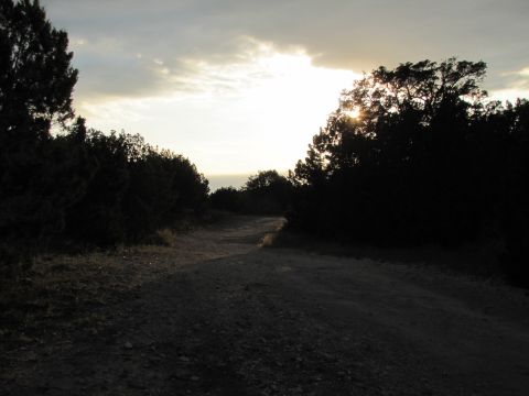 1995 Ford Bronco - A dirt road winds through a wooded area as the sun sets, casting long shadows.