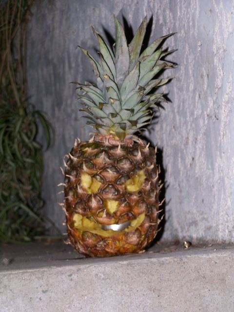 1990 Ford Bronco - A carved pineapple with a candle inside sits on a ledge against a textured wall.