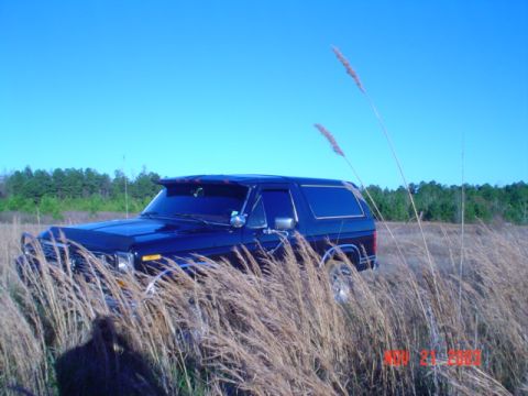 1986 Ford Bronco - A dark blue SUV sits in a field of dry grass, its front end partially obscured by the tall stalks.