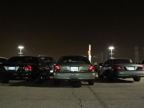 2003 Ford Crown Victoria - Trio of Crown Victoria sedans parked tail-out, center car showing plate 6FTU096 under lot lights