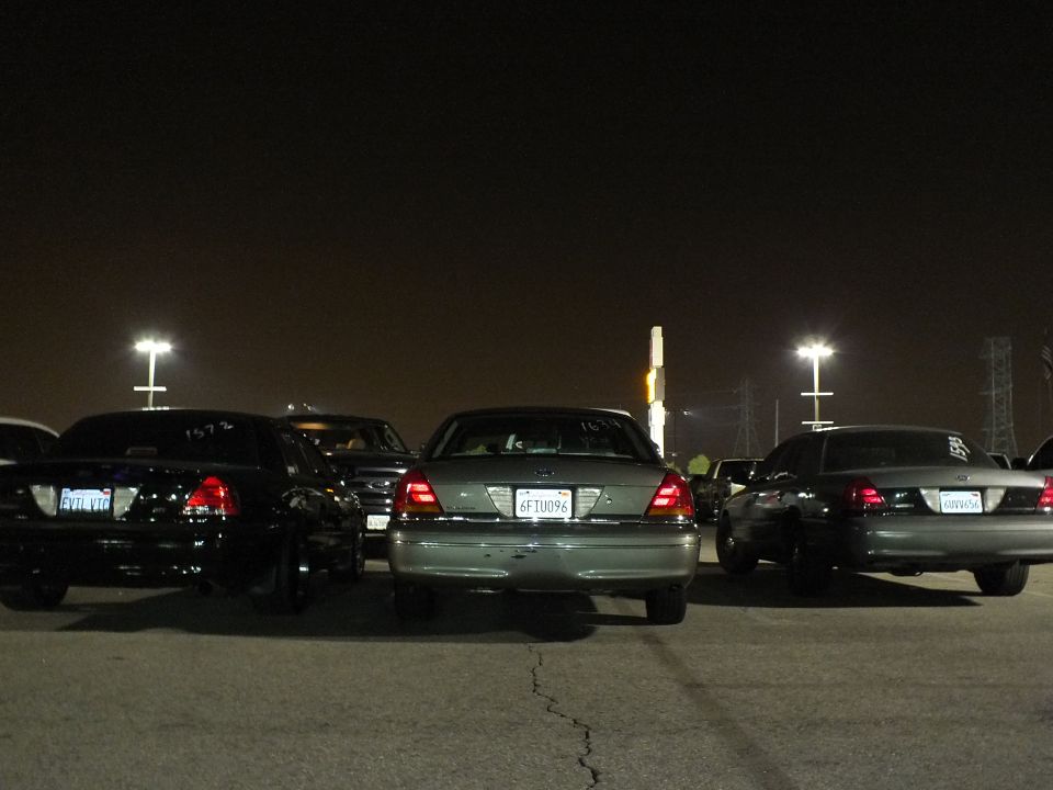 Three Ford Crown Victoria rears lined up at night, center plate 6FTU096